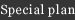 Special plan