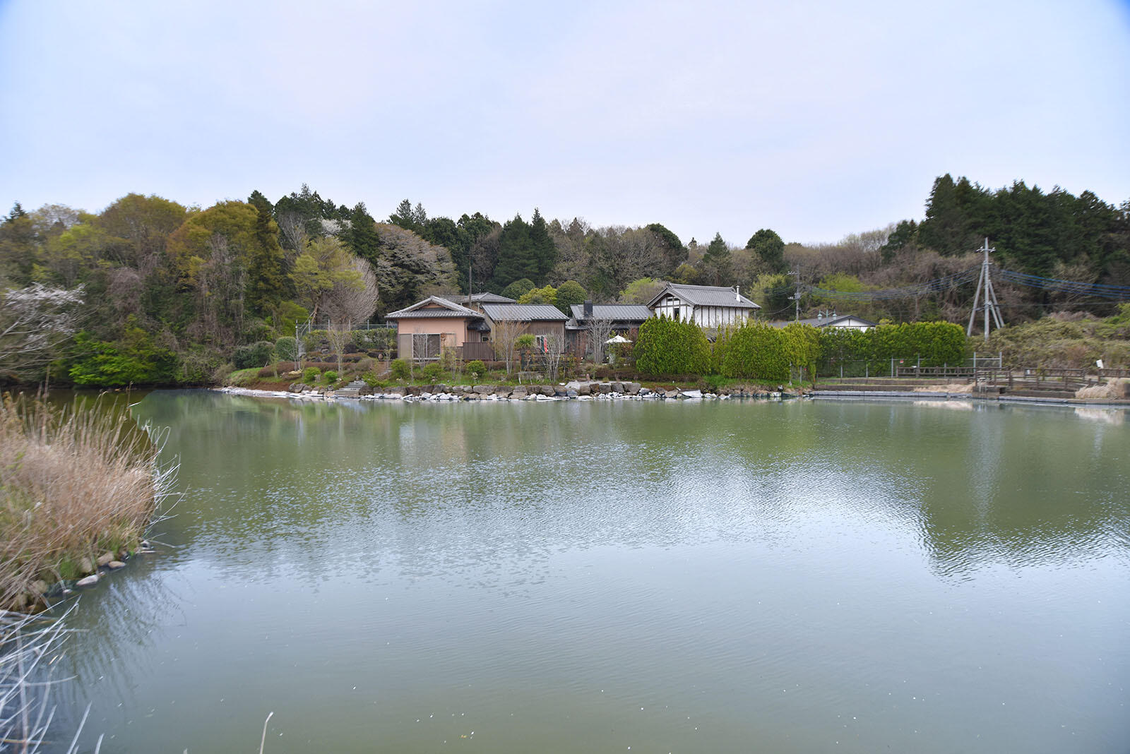 対岸からの撮影も可能です。